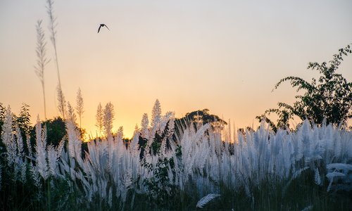 landscape  evening  time