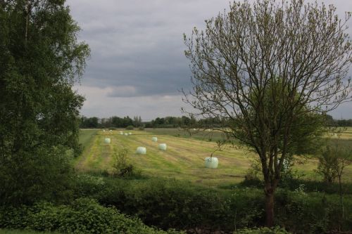 landscape hay bales nature