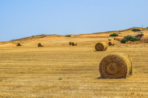 landscape  dry  sky