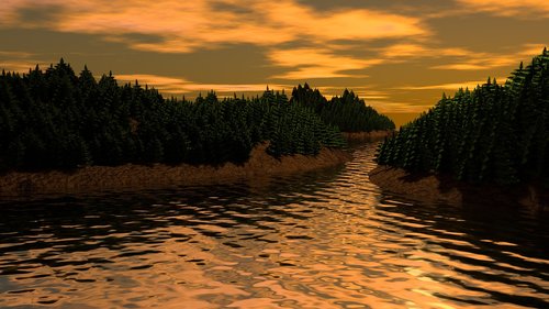 landscape  pine  sunset