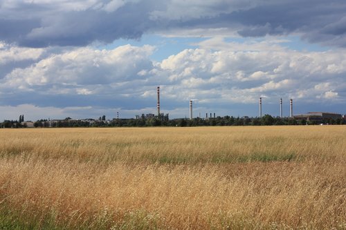 landscape  field  sky