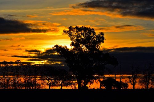 landscape  field  sunset