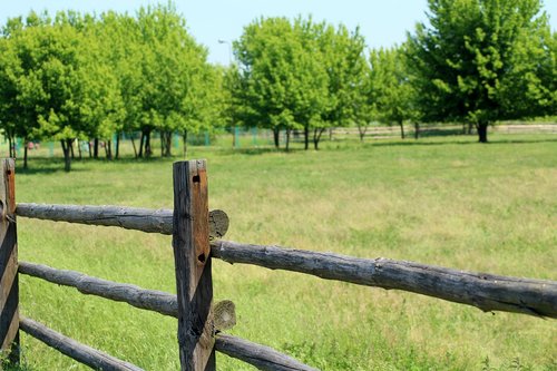 landscape  nature  spring