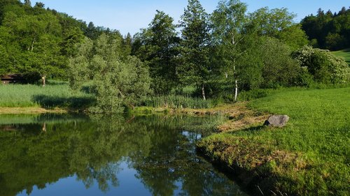 landscape  nature conservation  pond