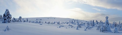 landscape  snow  winter