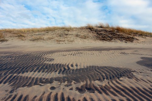 landscape  dune  north sea
