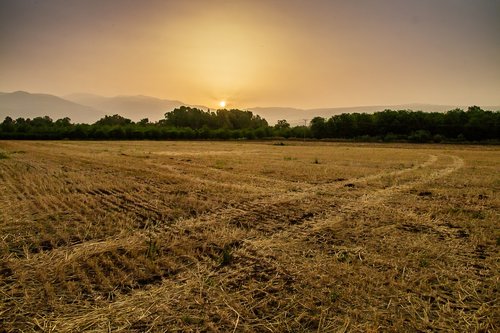 landscape  sunrise  field