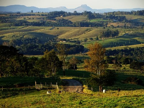 landscape  field  nature