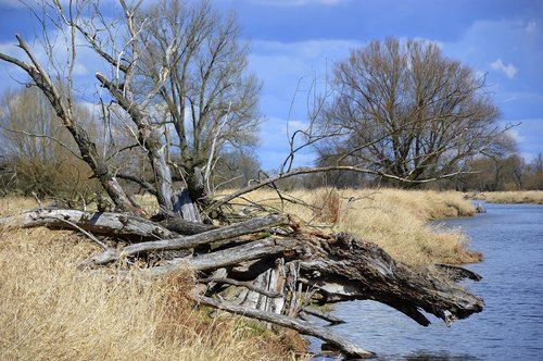 landscape  nature  riverside