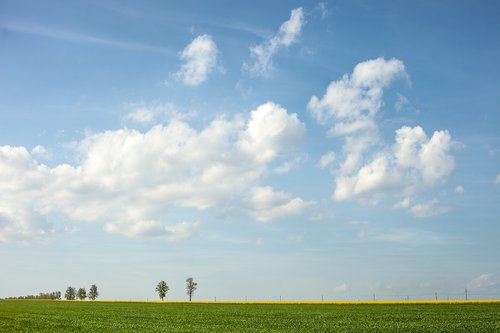 landscape  summer  sunny