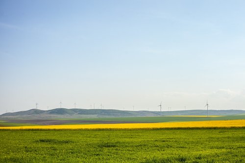 landscape  summer  sunny