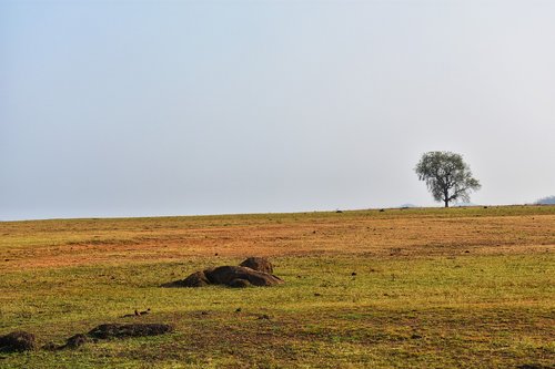 landscape  balod  chhattisgarh