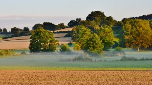 landscape  morning  fog