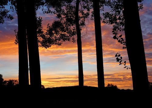 landscape  sunset  nature