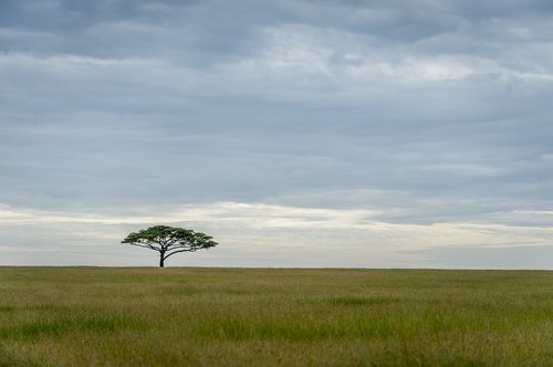 landscape  africa  nature