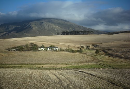 landscape  rural  south africa