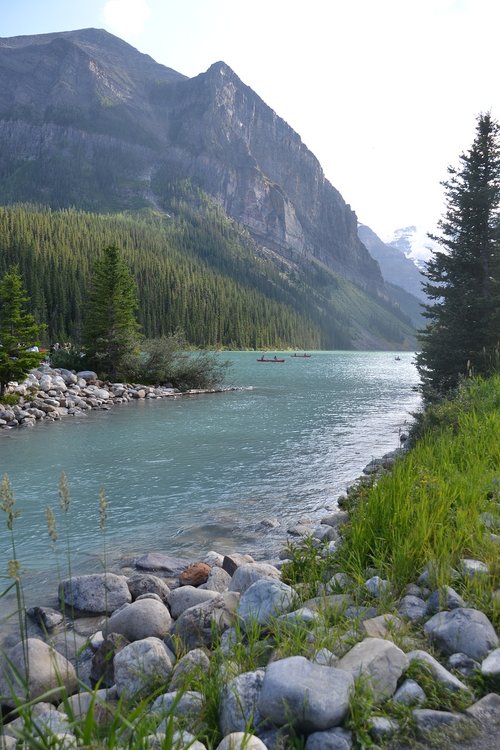 landscape  water  nature