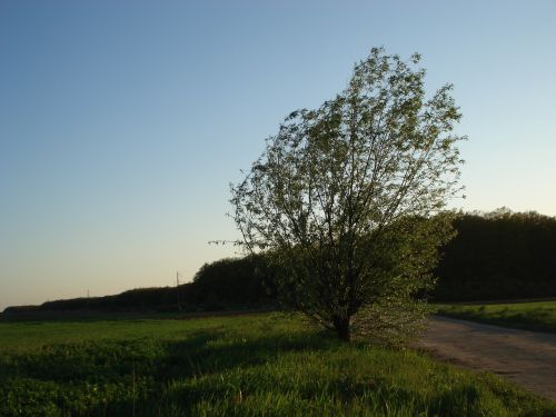 landscape nature sunset