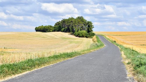 landscape  road  fields