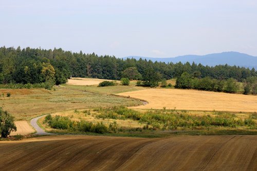 landscape  fields  summer