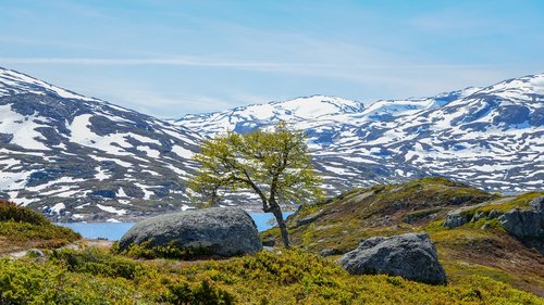 landscape  norway  fjord