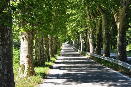 landscape  nature  road