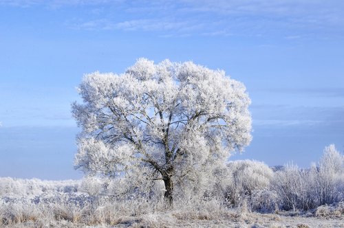 landscape  frost  sky