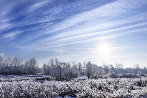 landscape  frost  winter