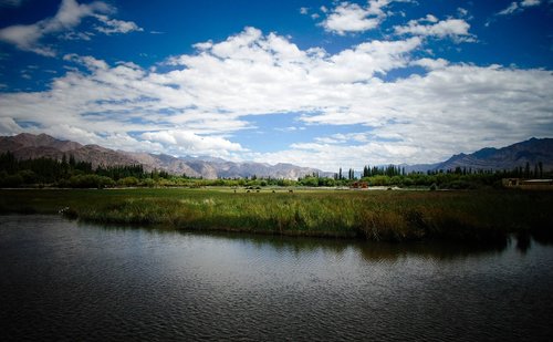 landscape  nature  summer