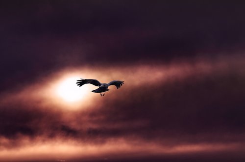 landscape  sunset  sky