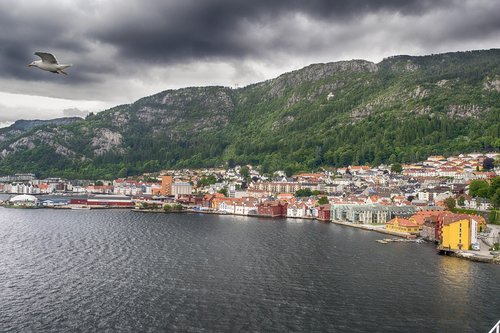 landscape  bergen  birds