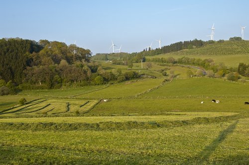 landscape  cultural landscape  windräder