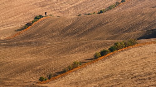 landscape  summer  bryony