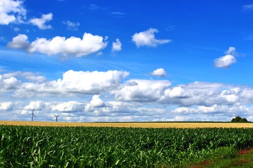 landscape  northern germany  nature