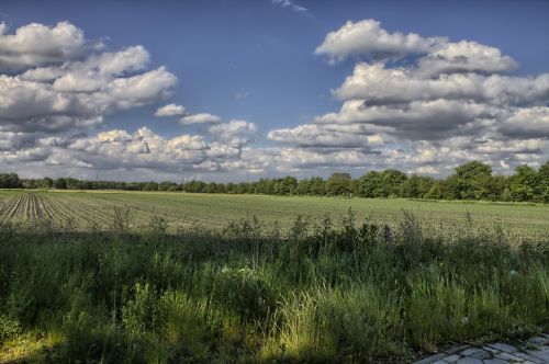 landscape clouds field