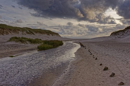 landscape  nature  mood