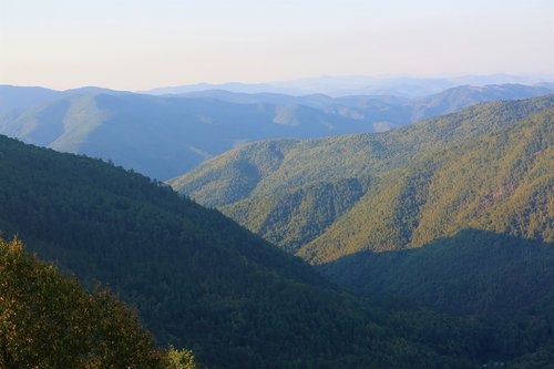 landscape  mountains  forest