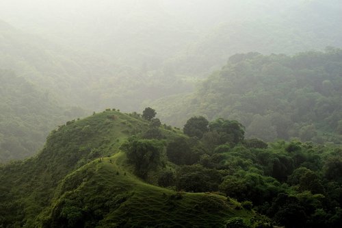 landscape  hills  green