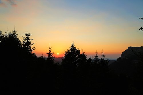 landscape  sunset  forest