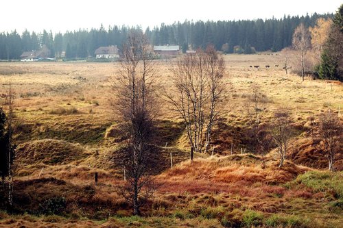 landscape  šumava  nature