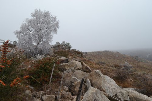 landscape  frost  winter