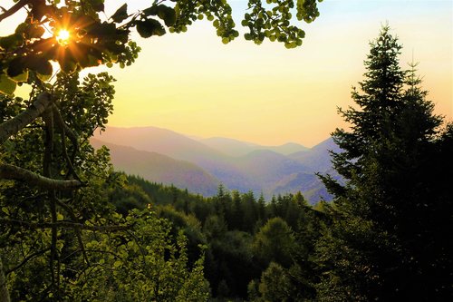 landscape  nature  sky