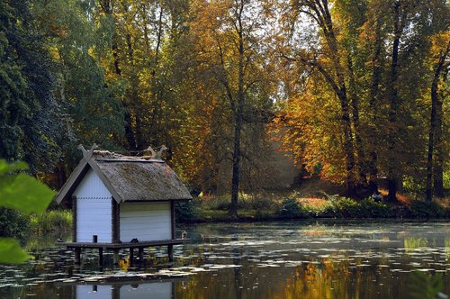 landscape  nature  trees