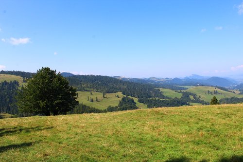 landscape  mountains  forest