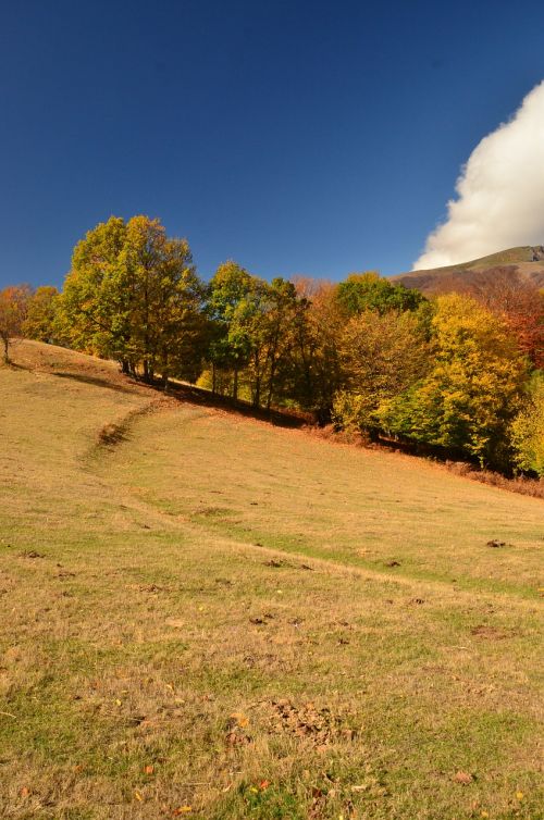 landscape hill nature