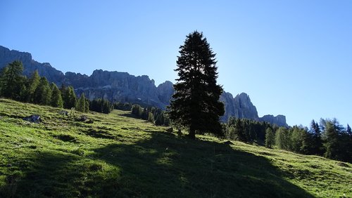 landscape  south tyrol  nature