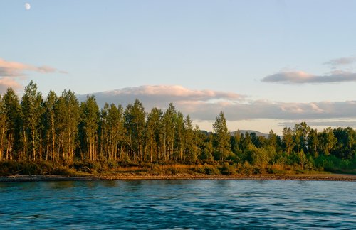 landscape  altai  katun river