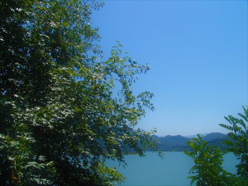 landscape  nature  lake