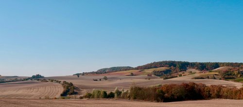 landscape  agriculture  autumn