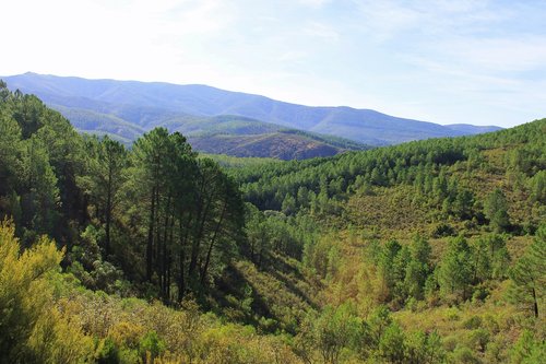 landscape  nature  mountain